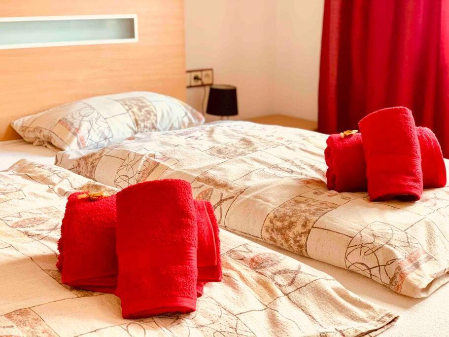 Apartment Klara. City Center. Free Parking Liptovský Mikuláš Exteriör bild